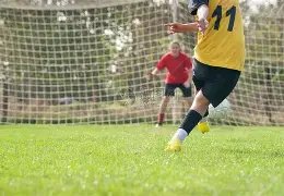 山东足协与,篮协联合公,布新任主席,乐鱼体育,乐鱼体育官网,乐鱼体育官方,乐鱼体育下载