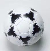 我校学生滑,雪队荣获中,国大学生滑,乐鱼体育,乐鱼体育官网,乐鱼体育官方,乐鱼体育下载