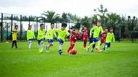 乐鱼体育 产品 135550 8c8