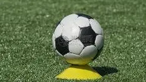 乐鱼体育 产品 140820 a2o