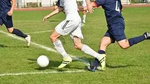 乐鱼体育 资讯 142247 bwd