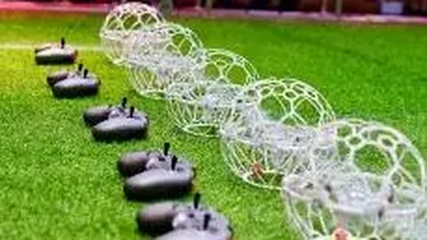 乐鱼体育 产品 114723 ox2