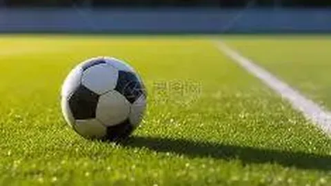 2025年11月19日：黄金金价下跌，金店及银行金条价格大降