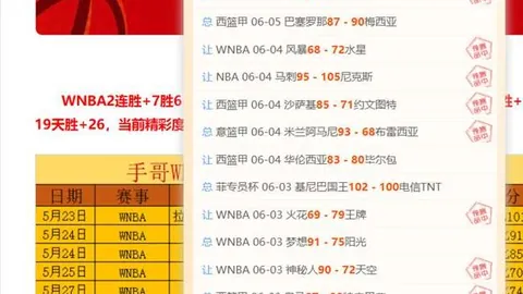 上海男篮夺冠战4比1力克广厦，王哲林14年坚持泪洒赛场胡金秋数据爆发，总冠军争夺背后的关键对决